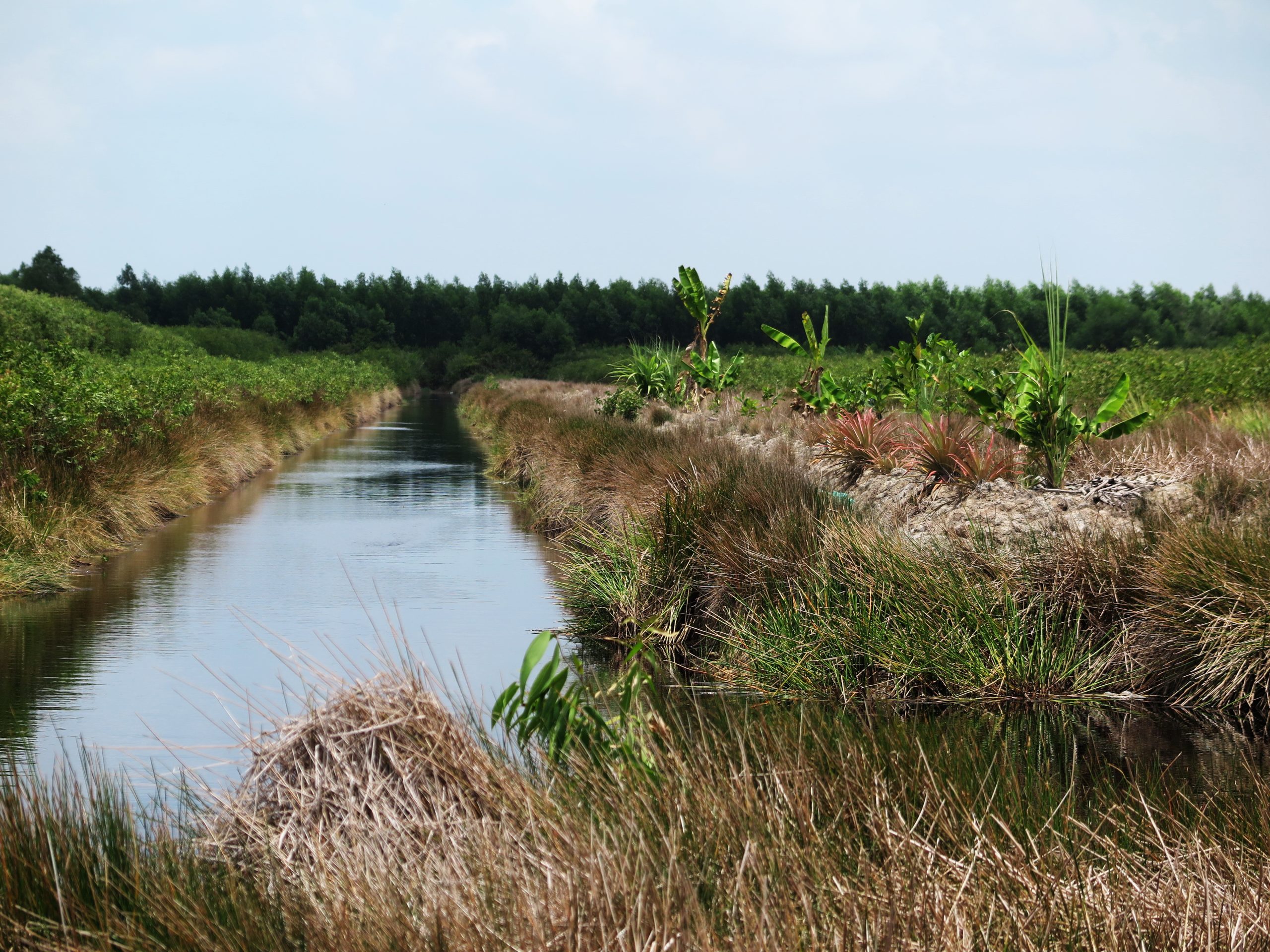 Yêu quê hương ấy