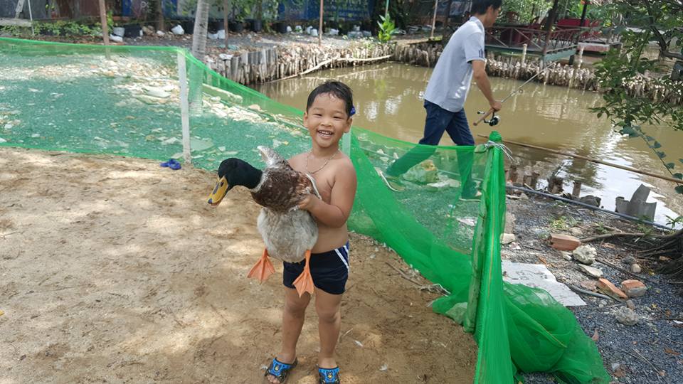 Du lịch cuối tuần –  Khu du lịch sinh thái “Nông trại ong vàng”