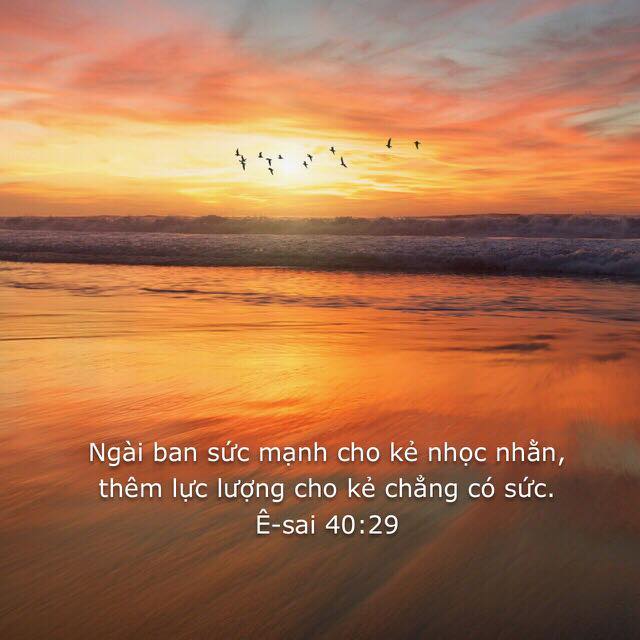 Lời hứa cho ngày mới đầy năng lực