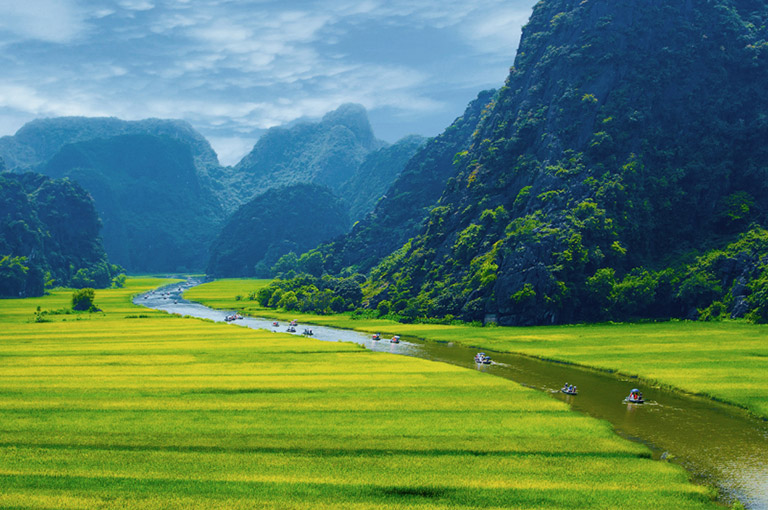 Con người bắt bớ Lẽ Thật