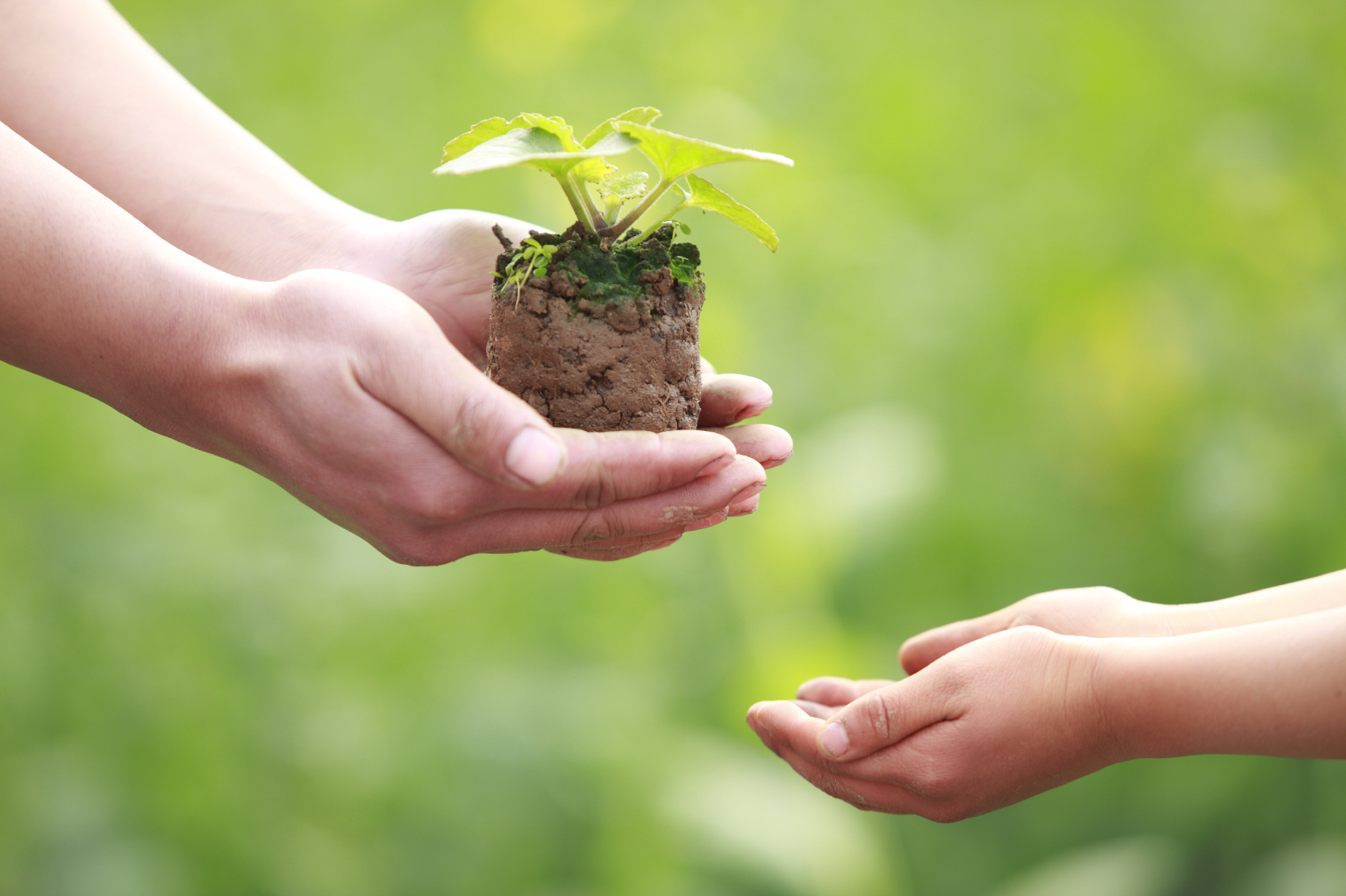 Đấng duy nhất có quyền ban phước