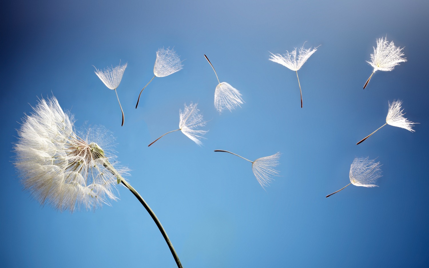 Du lịch, làm việc & rao giảng Tin Lành