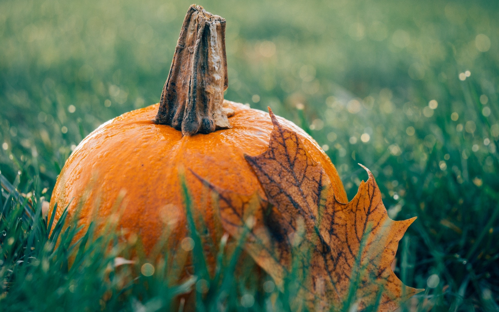 Halloween: Bạn chọn bóng tối hay ánh sáng?