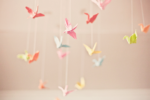 Nếu có một điều ước…