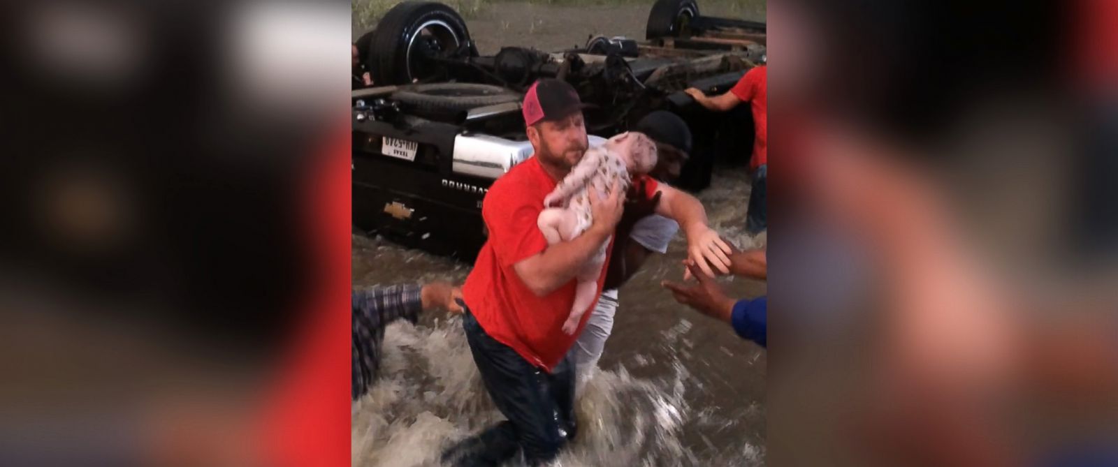 Chúa cứu 2 em bé thoát chết một cách diệu kỳ