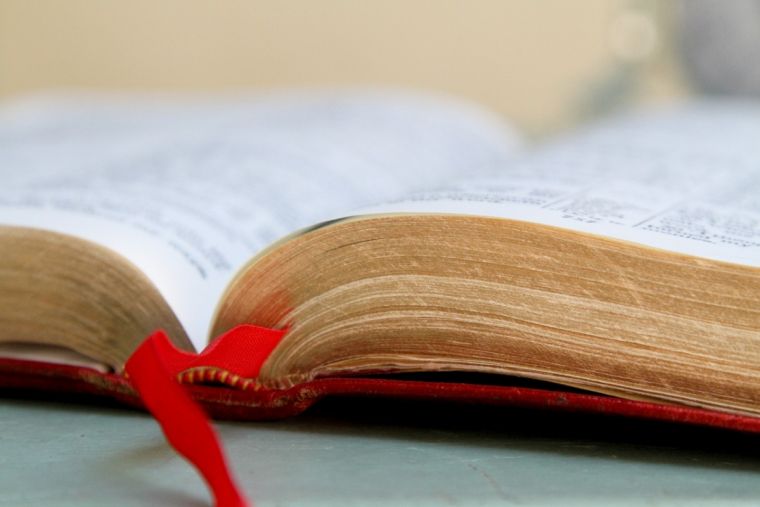 “Để kẻ chết chôn kẻ chết” nghĩa là gì?