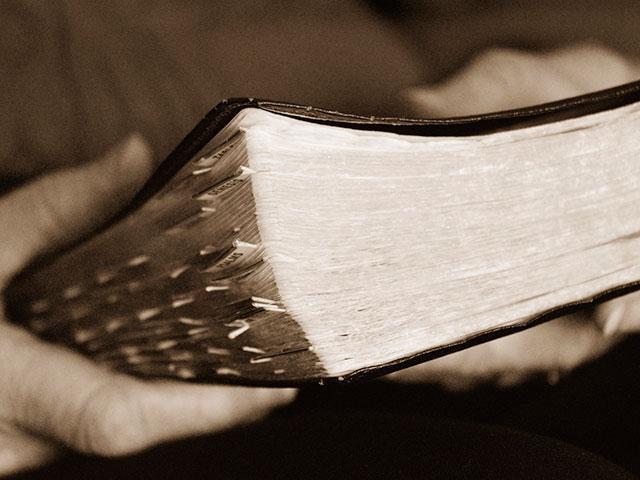 Tội Không Được Tha