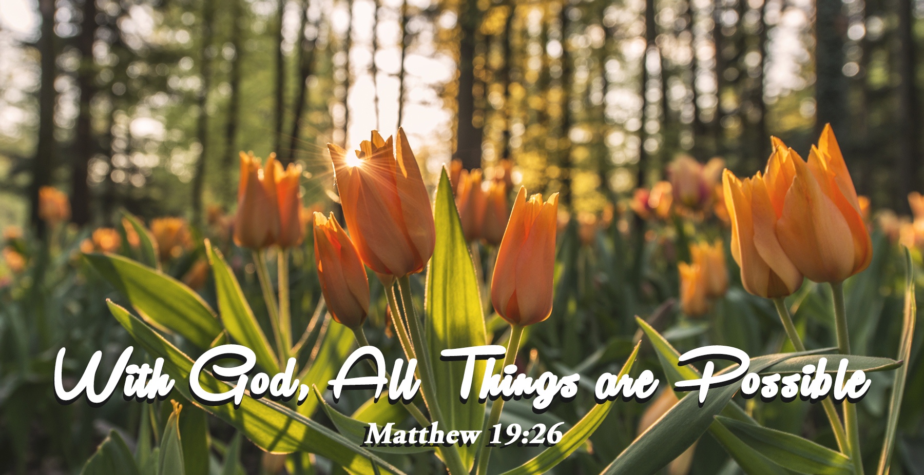 Những câu Kinh Thánh dành cho sĩ tử mùa thi!