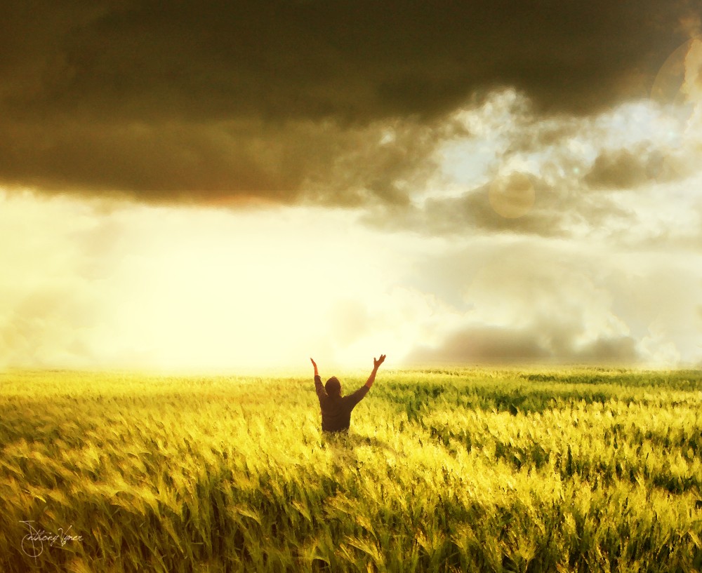 Thêm hàng nghìn người tin Chúa