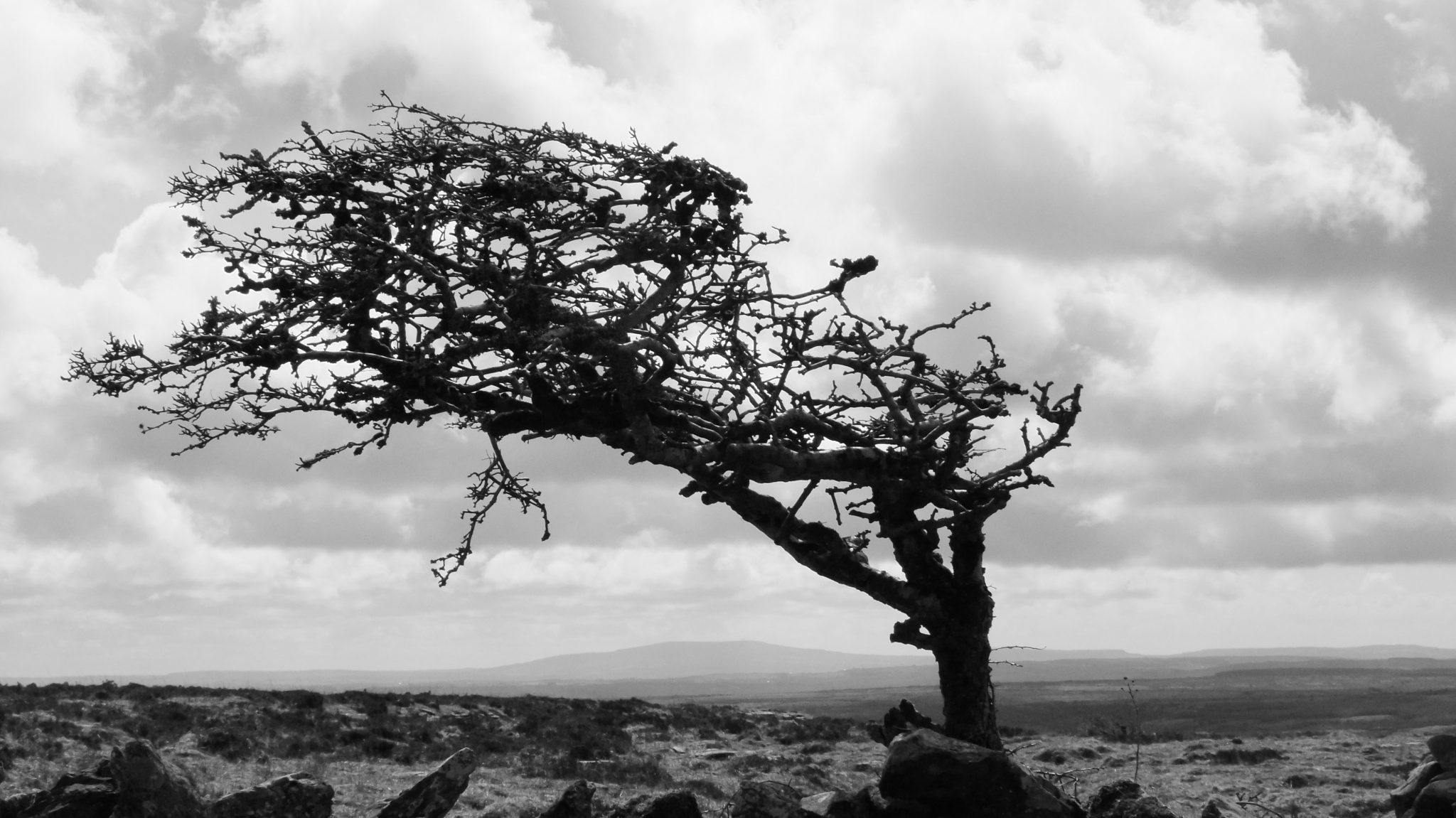 Cuộc sống khó khăn như bạn nghĩ?