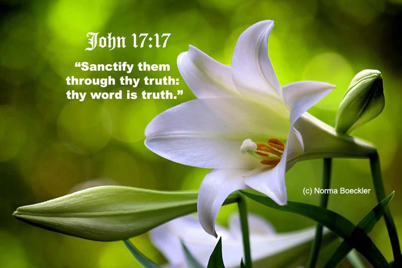 Lẽ thật và Sự thật