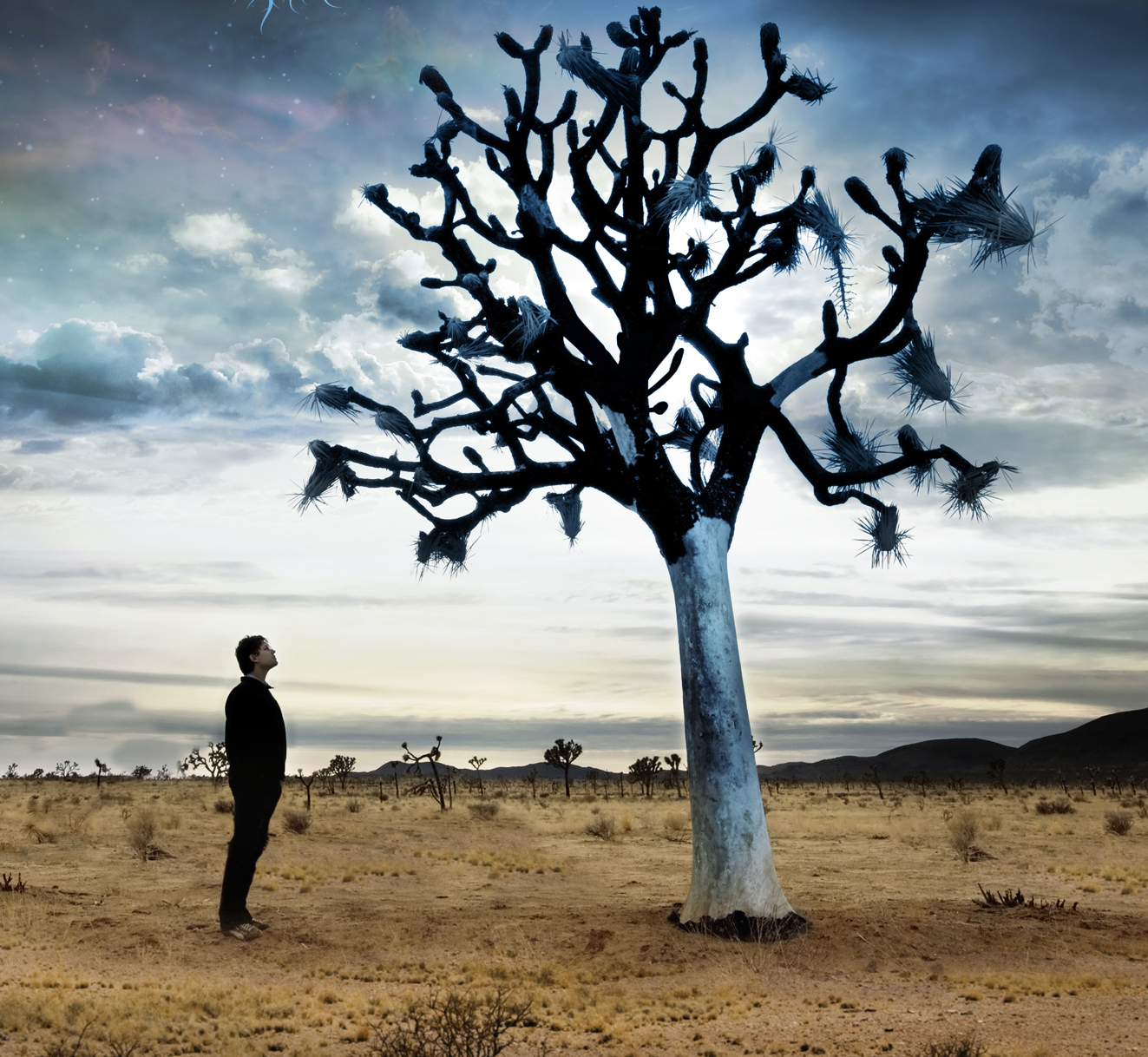 Tôi đang làm gì trên đất này?