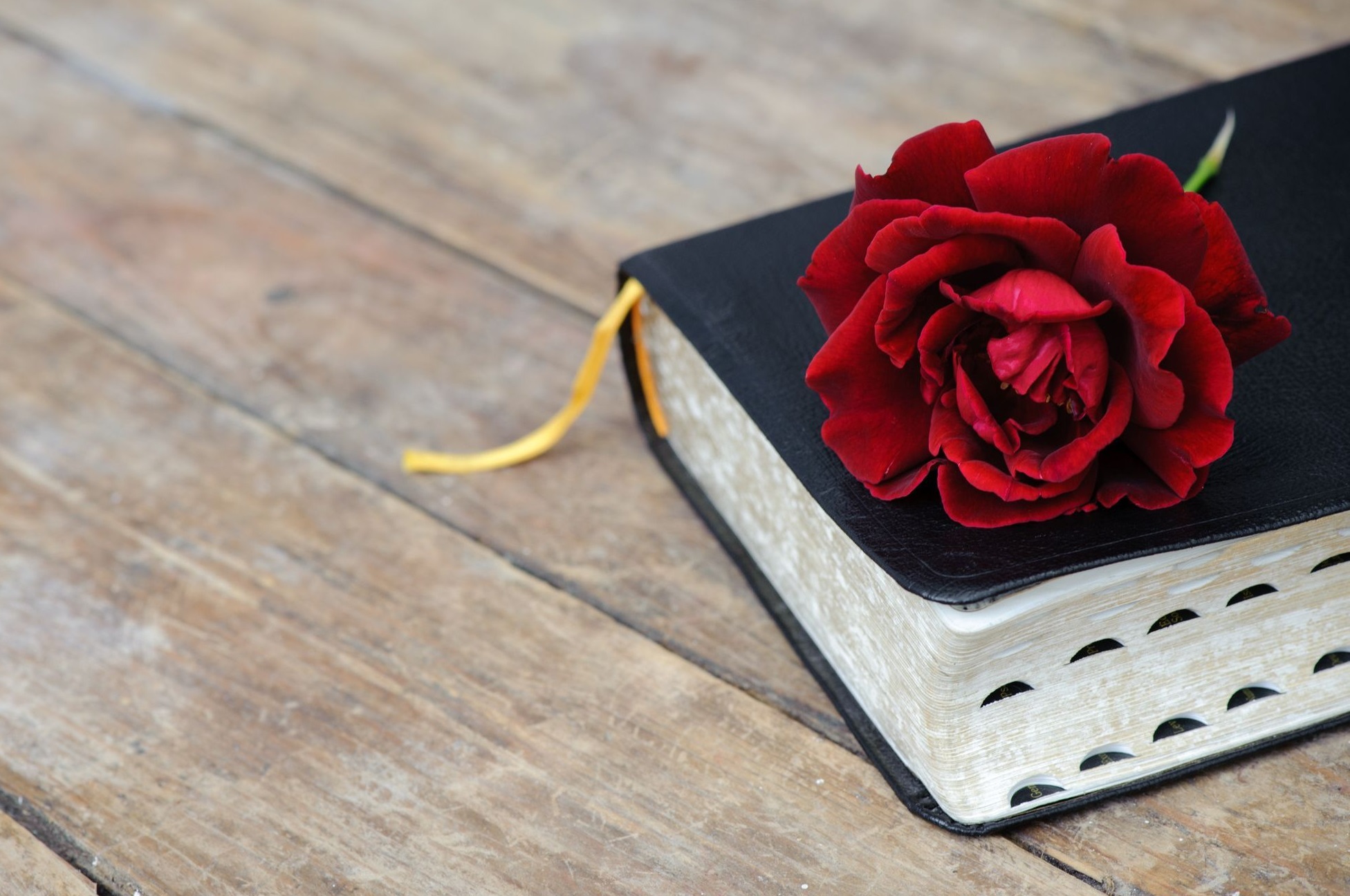 Thi Thiên 91 & những điều có thể bạn chưa biết