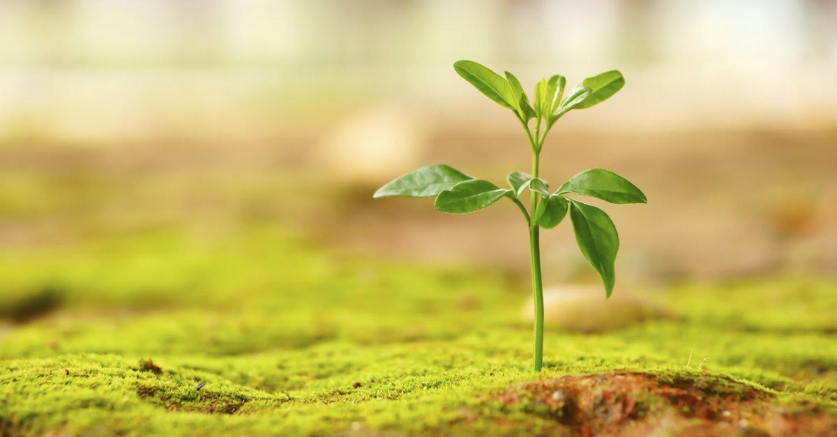 Vượt qua nan đề