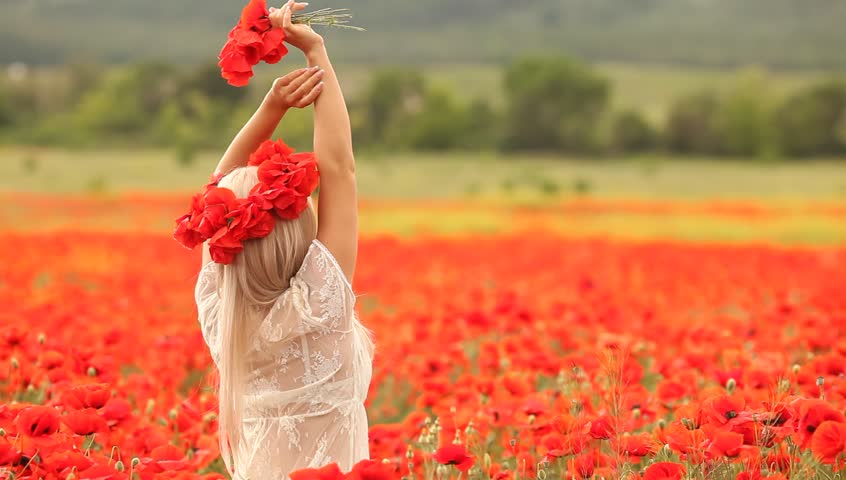 Trải thảm hoa hồng cho cuộc sống đầy gai