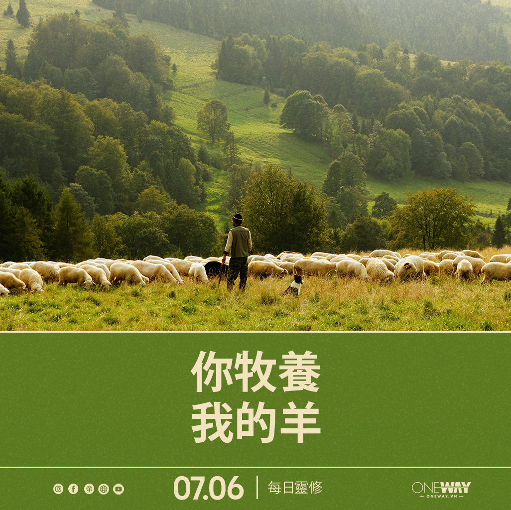 6月7日 每日靈修: 你牧養我的羊