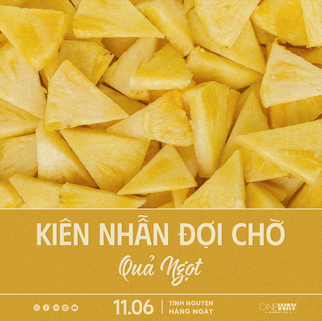 Tĩnh Nguyện Hằng Ngày 11/06: Kiên Nhẫn Đợi Chờ Quả Ngọt
