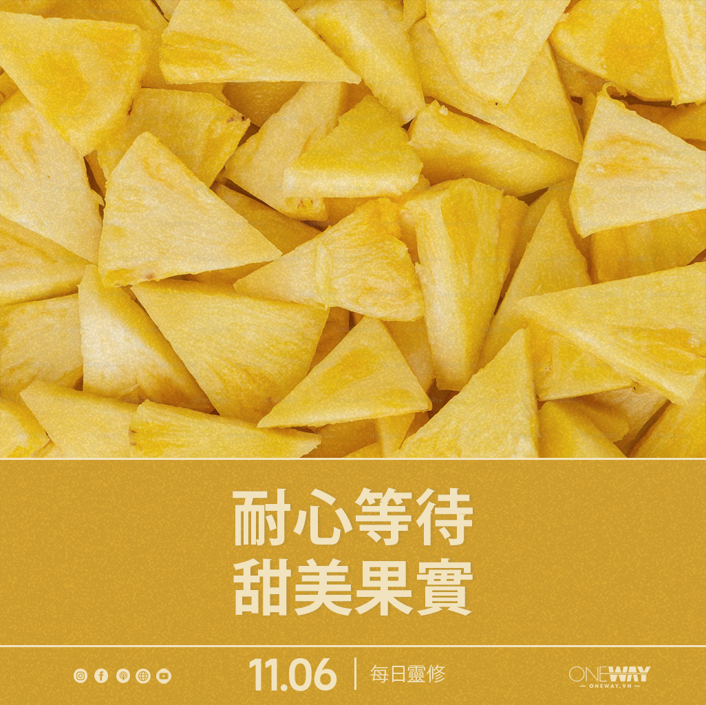 6月11日 每日靈修: 耐心等待甜美果實