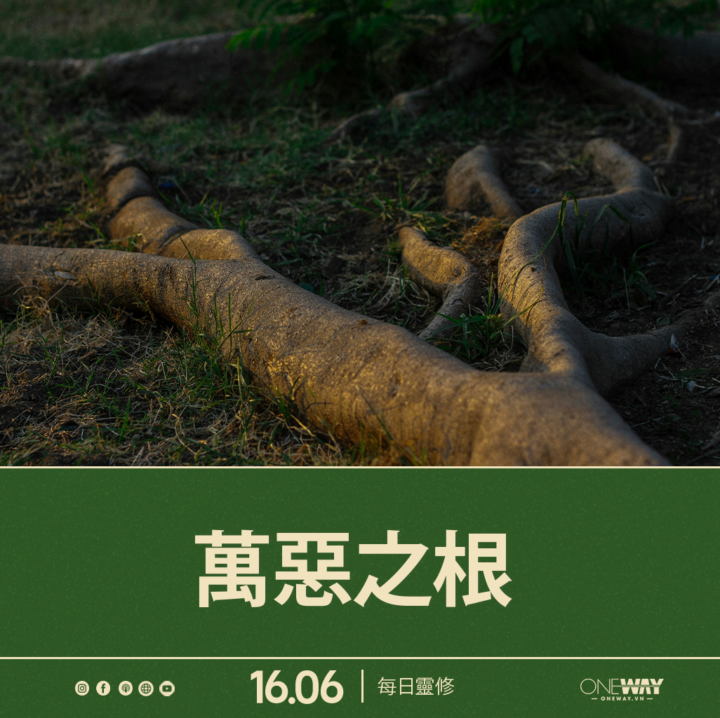 6月16日 每日靈修: 萬惡之根