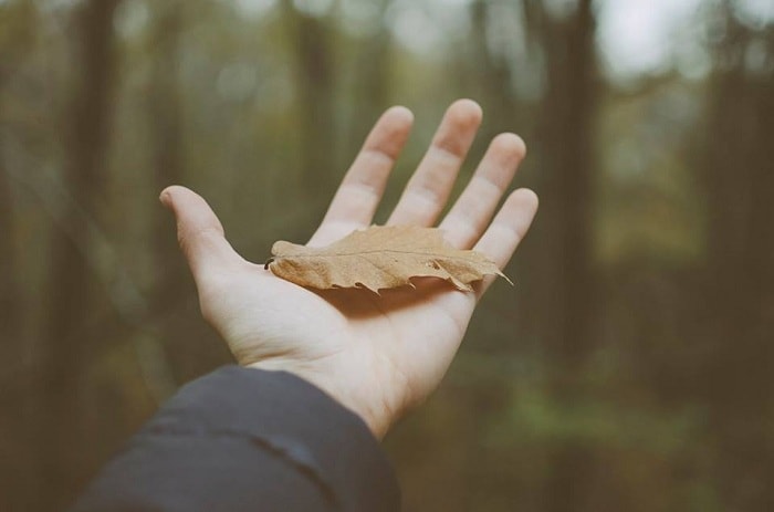 6 điều cần buông bỏ khi bước vào năm mới